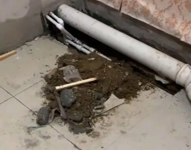 阿拉山口卫生间漏水检测哪家好