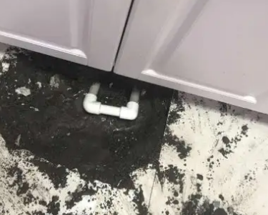 阿拉山口查漏水哪家好