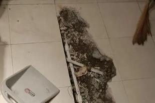 阿拉山口卫生间漏水检测电话